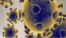 أعراض فيروس كورونا الوبائي وكيفية الوقاية منه